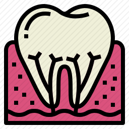 <em>牙齿</em>