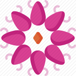 花卉装饰设计