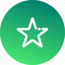 <em>星星</em>