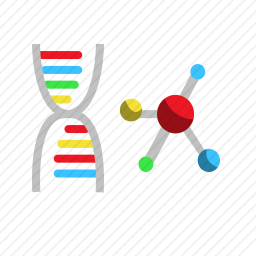 DNA