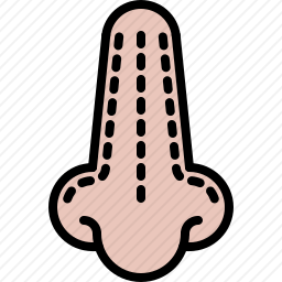 <em>鼻子</em>