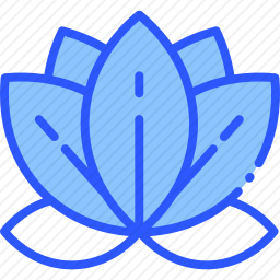 <em>莲花</em>