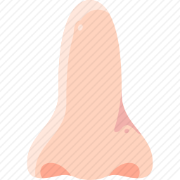 鼻子