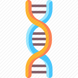 DNA