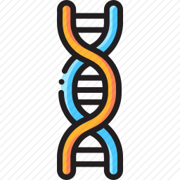 DNA