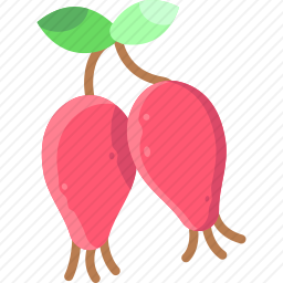 <em>玫瑰</em>果