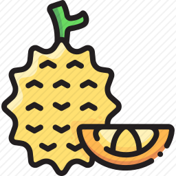 <em>榴莲</em>
