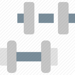 <em>哑铃</em>