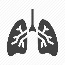 <em>肺</em>