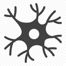<em>神经</em>