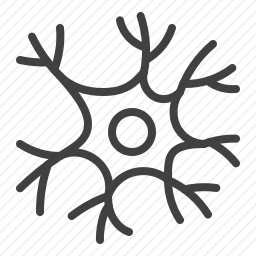 <em>神经</em>