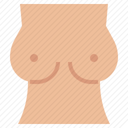 乳房