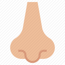 鼻子