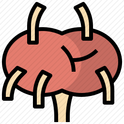 <em>淋巴结</em>