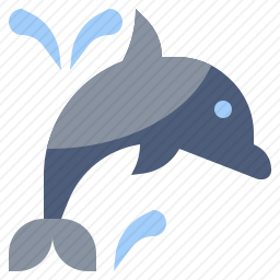 海豚