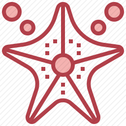海星