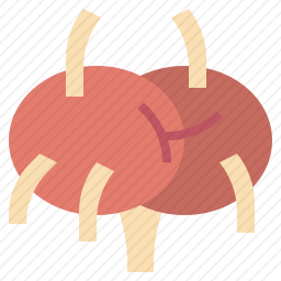 <em>淋巴结</em>