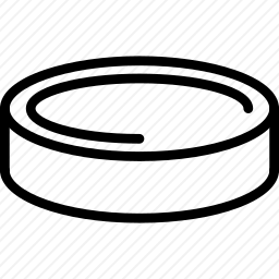 <em>曲棍球</em>