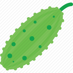 苦瓜