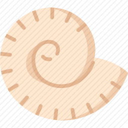 <em>鹦鹉螺</em>