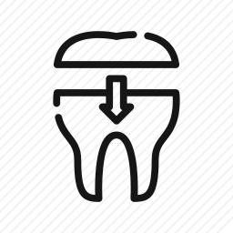 <em>牙齿</em>