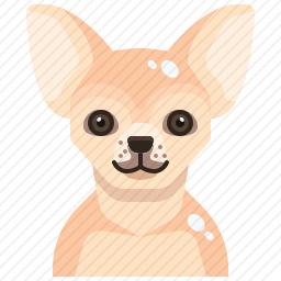 狗