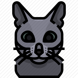猫