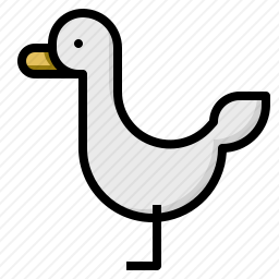 鸭子