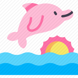 海豚