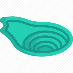 海鳗