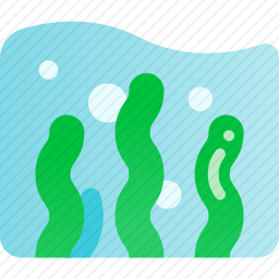 海藻