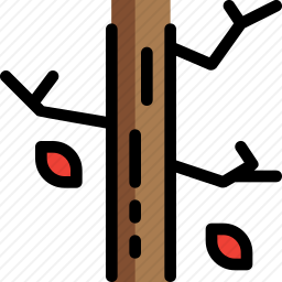枯树