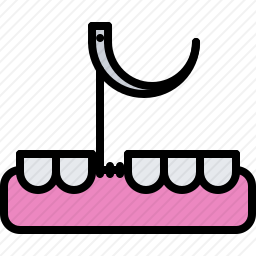 <em>牙齿</em>
