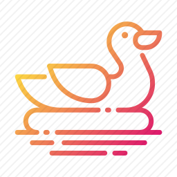 鸭子