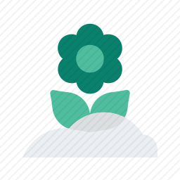 <em>花</em>