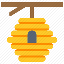 蜂窝