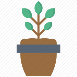 植物