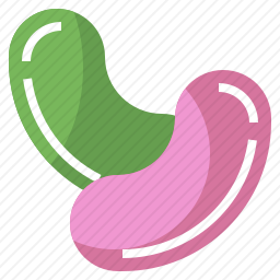 豆子