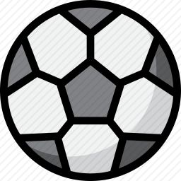 <em>足球</em>