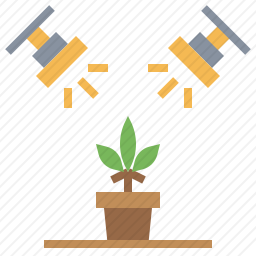 大麻
