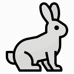 兔子