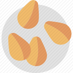种子