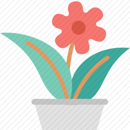花盆