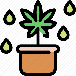 大麻