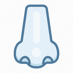 <em>鼻子</em>