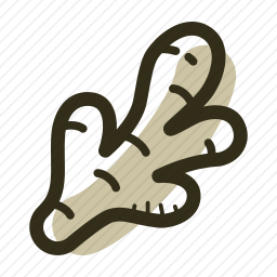 生姜