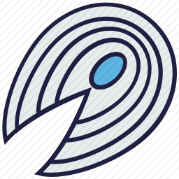<em>三文鱼</em>