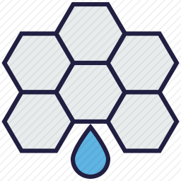 <em>蜂蜜</em>