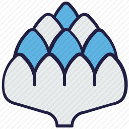 <em>朝鲜蓟</em>