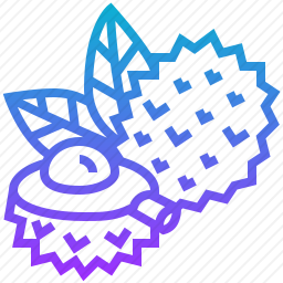荔枝